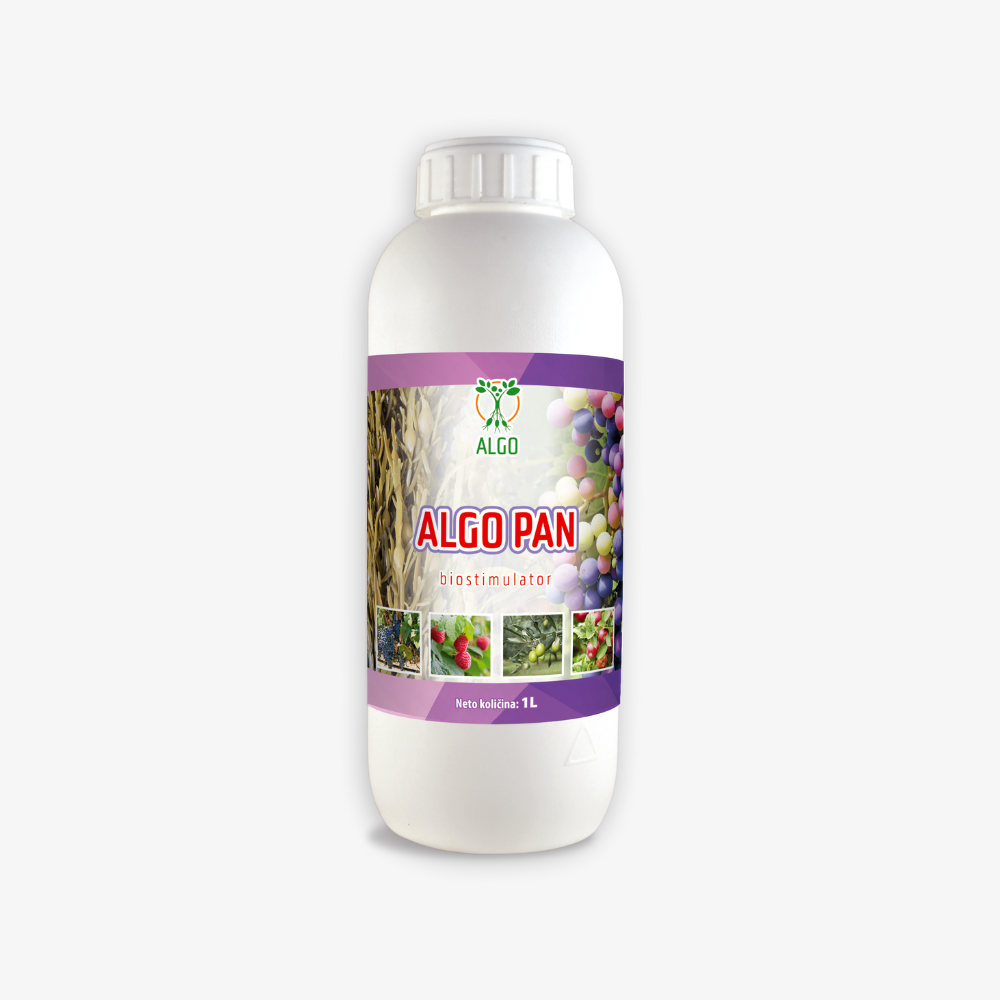 Algo Pan
